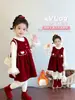 Vestido de Niña Invierno 2026 Estilo Nuevo Infantil Invierno Engrosado Rojo Elegante Bebé Súper Lindo Falda de Princesa