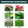 Yegbong Nutriente para Plantas para Macetas Césped Flor Hoja Verde Solución Nutritiva para el Crecimiento Suplemento de Fertilizante Concentrado