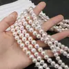 Serie Rosa Perla Imitación Vidrio de Alto Brillo Cuentas Redondas con Agujero Recto para Pulseras, Collares y Accesorios Hechos a Mano para DIY
