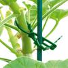 Amarre de Espina de Pescado Ajustable Verde Alambre para Jardinería Línea de Amarre Multiusos Amarre Fijo para Plantas Trepadoras 17cm