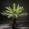 Cica Simulada Decorativa Pátio Sala de Estar Interna Colocação em Pé em Vaso Falsa Verde Artificial Cica
