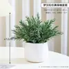 Vasos de Plantas Artificiais de Alta Qualidade para Mesas de Sala de Estar Interna, Pequenas Plantas Verdes Falsas para Decoração de Escritório e Paisagismo