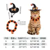 El juego de decoración de Halloween para mascotas más vendido de Ali incluye varios sombreros de bruja, capas y accesorios, disfraces completos para gatos y perros al por mayor