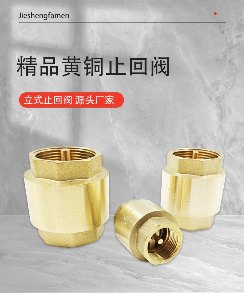 立式止回阀