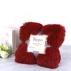 Manta gruesa de otoño e invierno de doble cara de terciopelo, manta de regalo, manta para niños, cubre manta, pedido original de comercio exterior, manta de felpa PVcashmere al por mayor