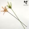 Vendas Diretas de Fábrica Atacado Personalizado Penas de Plantas Simuladas com Sino Haste Longa Vara para Provocar Gatos Brinquedos para Gatos Resistentes à Mordida Suprimentos para Gatos