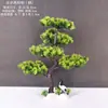 Decoração de Enfeite de Mesa Pinheiro Bem-vindo Pequeno Pinheiro Plantas Verdes Plantas Aquáticas Mini Rochedo Aquário Paisagismo Hotel