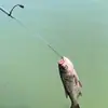 Gancho de Acero Inoxidable para Pesca para Controlar Peces, Pinza Retráctil para Peces de Pesca en Hielo, Anzuelo de Pesca Reforzado Equipo de Pesca