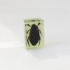 Nuevo libro de insectos luminosos de la ciudad: insectos reales, escorpión, adornos de escritorio de resina HD transparente, manualidades, material didáctico para niños.
