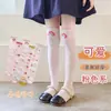 Calcetines para Niñas 2026 Otoño Nuevo Estilo Fresas Niñas Calcetines Largos Hasta la Rodilla Ropa Exterior Bebé Dibujos Animados Lindos Calcetines Rectos