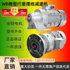 Reductor de Motor de Engranajes Planetarios Cicloidales Miniatura WB Carcasa de Aluminio Pequeño Vertical Horizontal 220V/380V