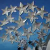 Varios Especificaciones de Diamantes Acrílicos de Estrella de Cinco Puntas, Diamantes Blancos de Estrella de Cinco Puntas, Diamantes de Imitación Planos de Estrella de Cinco Puntas, Diamantes Planos con Base de Estrella