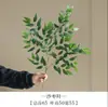 Jujuba de Arena Simulada Transfronteriza Hoja de Jujuba Flor Falsa Paisajismo del Hogar Flor Falsa al por Mayor Planta Verde Colgante Planta Falsa para Exteriores Interiores Yanwu