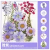Paquete de Materiales DIY de Flores Secas Flores Prensadas Hechas a Mano Flores Conservadas Marcadores de Libros de Flores Prensadas Hojas de Árbol Real Plantas Pegatinas de Resina Maquillaje Facial