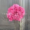 256 piezas de hortensia de rama única cifrado hortensia floral pequeña fresca boda pared de flores suaves flor piruleta hortensia