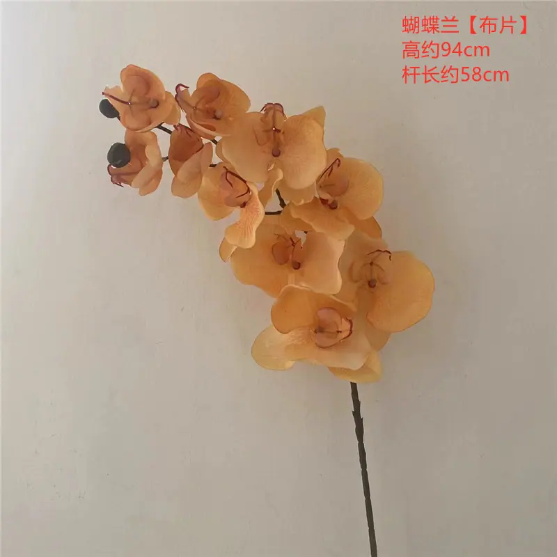 d1f2b97f9a2bfe11e102d474e9d423