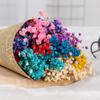 Venta al por mayor de flores eternas, gypsophila, flores secas, ramo al por mayor, material de bricolaje, regalo de cumpleaños terminado, puesto de flores reales, venta de flores