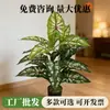 Fabricante de Plantas Verdes Artificiales, Hojas de Calathea, Plantas de Hojas de Colores, Plantas Verdes en Maceta de Piso, Árboles Artificiales, Decoración de Interiores para el Hogar, Suministro Transfronterizo