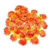 Simulación Hoja de Arce Ratán Vid de Flores de Plástico Hoja Decoración Vid Flor Falsa Enrejado Boda Hogar Techo Planta