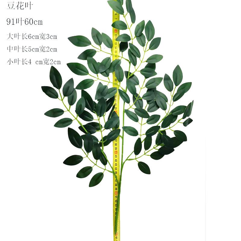 豆花叶19.jpg