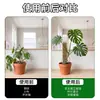Venta al por mayor Caliente Planta Especializada Poste de Musgo Sphagnum Monstera Planta Epífita Raíz Poste Trepador Poste de Soporte Múltiples Estilos Se Pueden Empalmar Poste de Musgo Sphagnum
