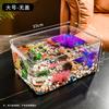 Caja de Almacenamiento de Escritorio Tanque de Peces Transparente Tanque Pequeño para Peces Dorados Paisajismo del Hogar Arreglo Floral Oficina Mini Tanque para Tortugas