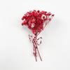 Mini ramo Hortensia gypsophila cola de conejo mini mezcla para combinar gypsophila regalos comercio electrónico transfronterizo venta al por mayor