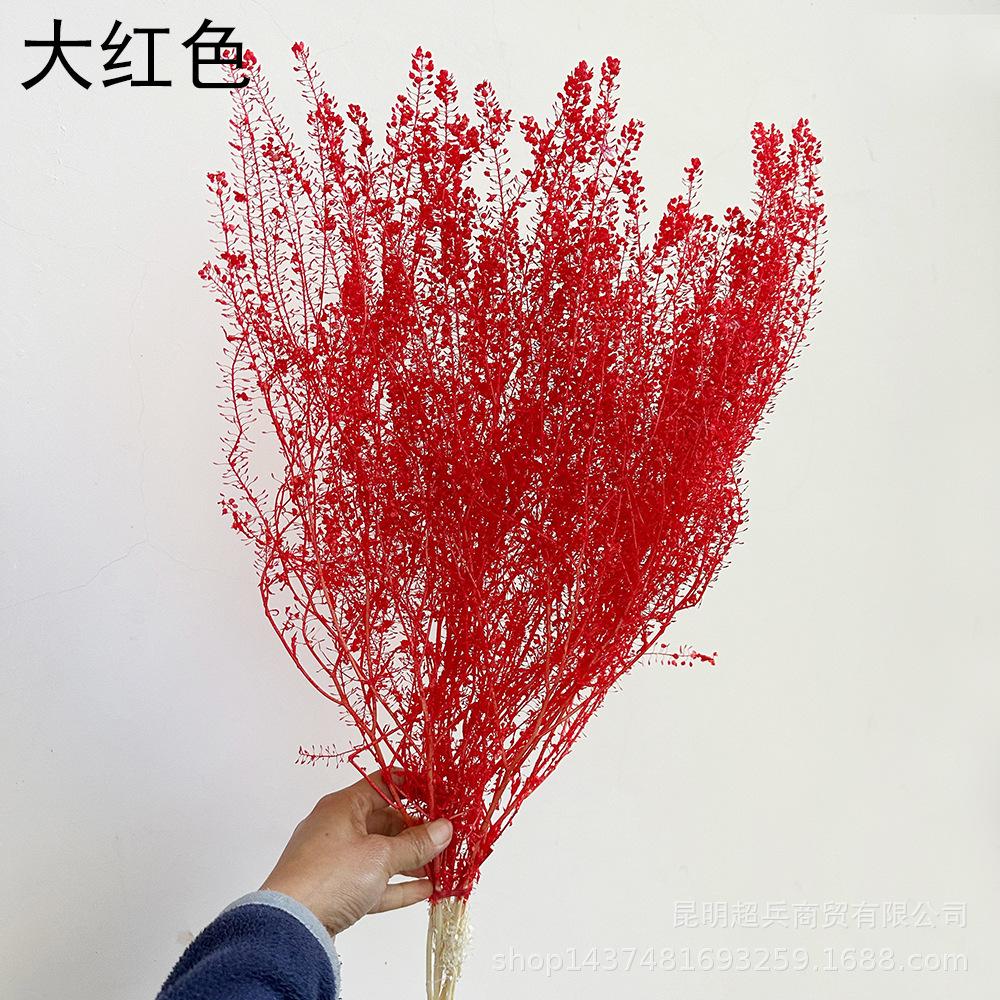QQ图片20221213152636.jpg