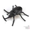 Modelos de Insetos para Simulação Escolar: Borboleta, Joaninha, Besouro com Chifres, Abelha, Borboleta, Gafanhoto Brinquedo Auxílios de Ensino Cognitivo