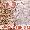 Arroz Gato Diente Arroz de Grano Largo Arroz Fragante Tailandés Arroz Nuevo 2023 Arroz Extra Largo Arroz Sedoso 25kg