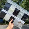 Calcetines Holgados Nuevos Estilos para Otoño e Invierno Todo en Uno, Calcetines Largos Grises Estilo Japonés y Coreano, Calcetines Lisos de Encaje de Tubo Recto para Estudiantes