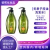 Processado para comércio exterior, o popular shampoo inglês TK para controle de oleosidade, volumizador, anticaspa, fragrância duradoura, shampoo refrescante de sabugueiro