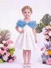 Nuevo Vestido Formal de Verano para Niñas con Bordado de Rosas, Vestido Infantil, Suministro Transfronterizo Exclusivo, Directo del Fabricante, Vestido de Fiesta