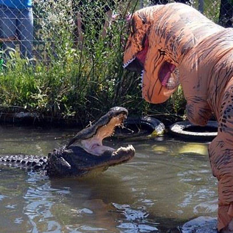 10348680000_930782037