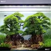 Marco de Paisajismo para Tanque de Plantas, Discos de Cáscara de Coco, Árbol Brasileño, Copa del Árbol, Un Árbol para Crear un Marco