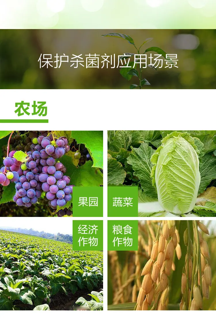 波尔多液_08.jpg