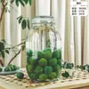 Pote de Vidro para Vinho, Pote de Vinho, Pote de Vinho de Ameixa Verde e Amora, Pote Selado para Fermentação de Vinho, Garrafa de Vidro com Fecho e Torneira