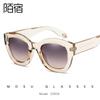 Mosu 22859 Gafas de sol de ojo de gato europeas y americanas Gafas de sol para mujer Gafas de sol de moda para mujer transfronterizas