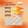 Funda de Cama Acolchada de Leche Gruesa Clase A Juego de Tres Piezas Dormitorio Estudiantil Cama Individual Protector de Colchón Antideslizante