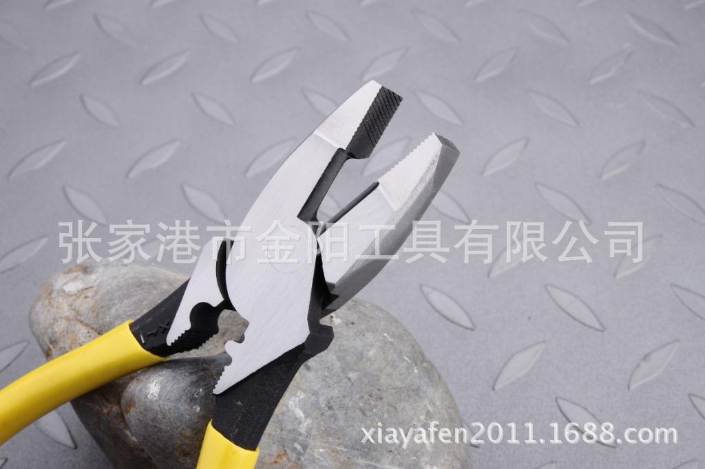 DPP_4090