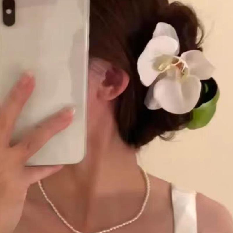 2403080 (1) 初春清新蝴蝶兰甜美四季花卉晕染发夹抓