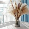 Capim dos Pampas Amazon, Junco Pequeno, Capim Rabo de Coelho, Flores Octogonais, Mix para Decoração de Casa, Flores Secas Transfronteiriças