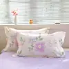 2024 Funda de Almohada Algodón Puro Funda de Almohada Toda de Algodón Funda para Relleno de Almohada del Hogar Paquete Doble Fabricante de Nantong Venta al Por Mayor Amigable para Dormir Extraíble y Lavable