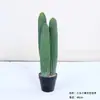 Cactus Pilares de Dragón Simulados Cactus Parásito Planta del Desierto Marroquí Decoración Suave para Paisajismo Modelo Decoración de Proyectos