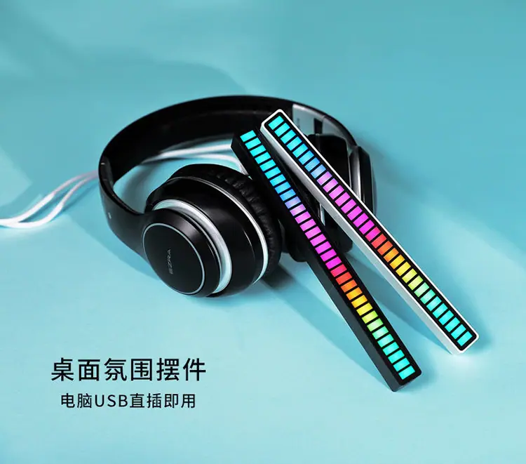 拾音节奏器