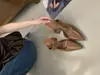 Mules Negras de Tacón Medio-Alto Estilo Francés con Punta Cerrada para Mujer, Nuevo Modelo 2026 con Elegante Hebilla de Cinturón para Uso en Exteriores