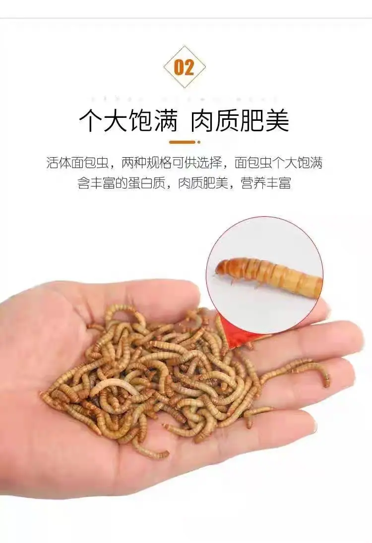 7a348f25-c2cd-44f8-9a0e-4c37073541d0.jpe