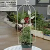 Envío Gratis Estilo Europeo Enredadera de Hoja Pájaro Jaula Celosía Vintage Hierro Desgastado Soporte de Flores para Flor de Nieve Azul, Clematis y Rosa