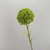 Flores Artificiais de Hortênsia, Flores de Cebola, Decoração de Casa Nórdica Estilo Ins, Flores Plásticas de Dente-de-leão, Arranjos Florais, Materiais Florais