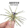 Accesorios para pesca en el mar: ancla plomada de erizo de mar con gancho de bloqueo antideslizante, plomada de plomo para peso de cebo, equipo de pesca al por mayor